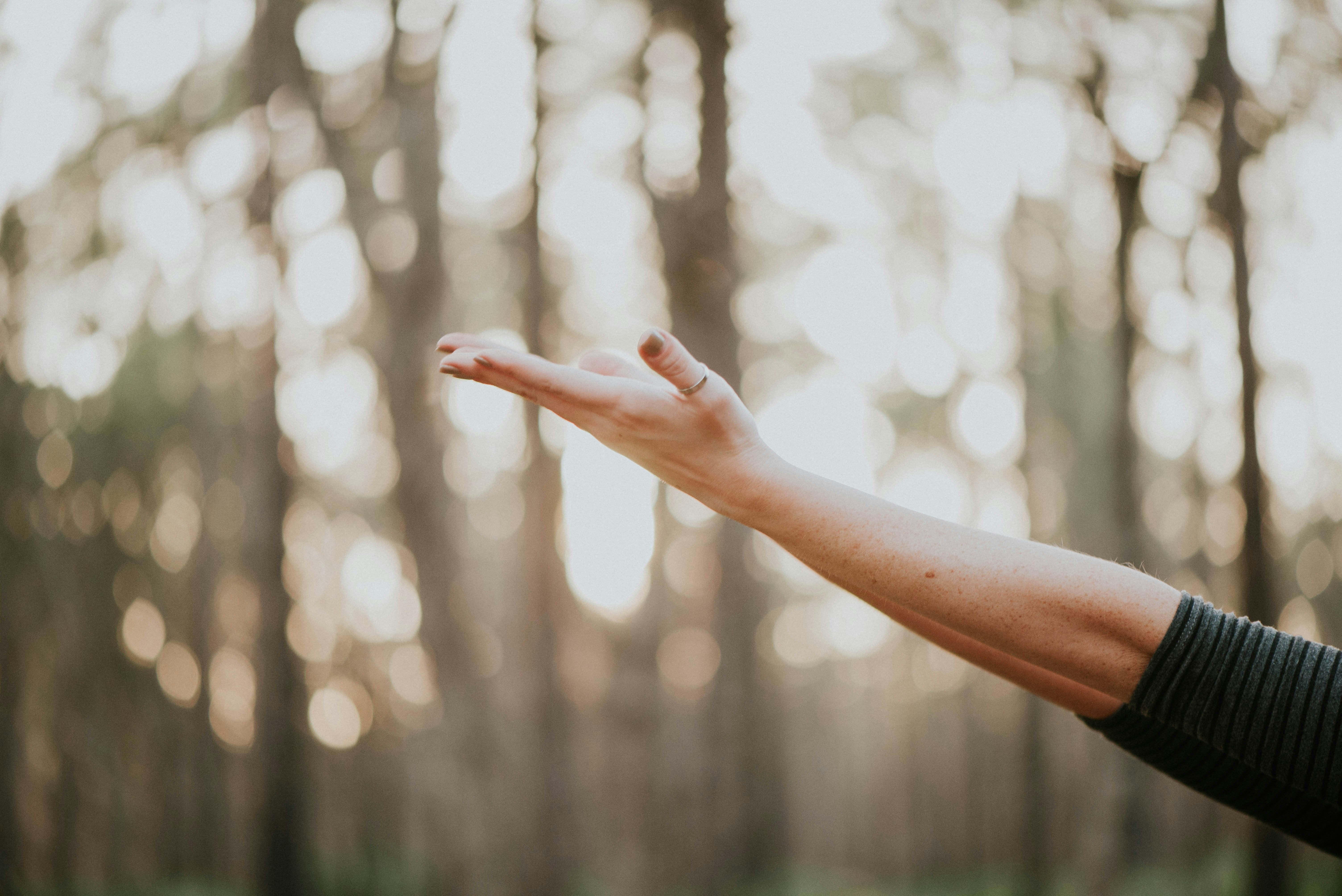 Wellness and healing